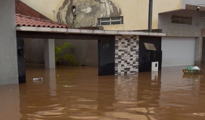 VAQUINHA SOLIDÁRIA FIGUEIREDO